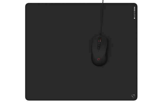 Alioth L